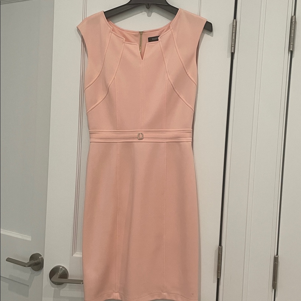 Ellen Tracy Pink Sleeveless Dress